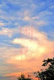 困城（男出轨H）