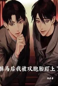 掉马后我被双胞胎盯上了